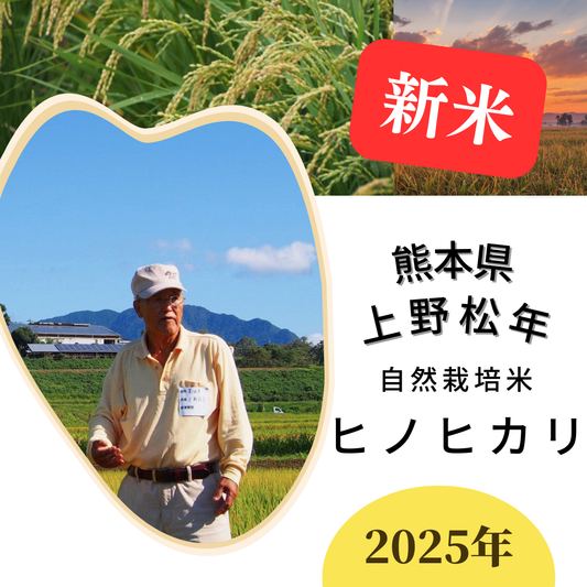 ◎【2025年米】上野松年さん　自然栽培米ヒノヒカリ（通常販売用）