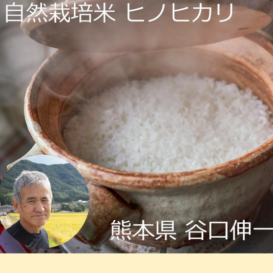 ★【2023年米】谷口伸一さん　自然栽培米ヒノヒカリ