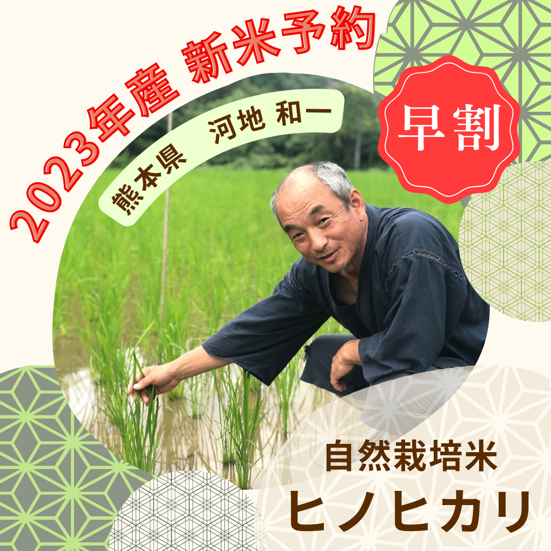 【2023年度産新米・最大6万円引き！！！】河地和一　自然栽培米ヒノヒカリ　玄米360kg