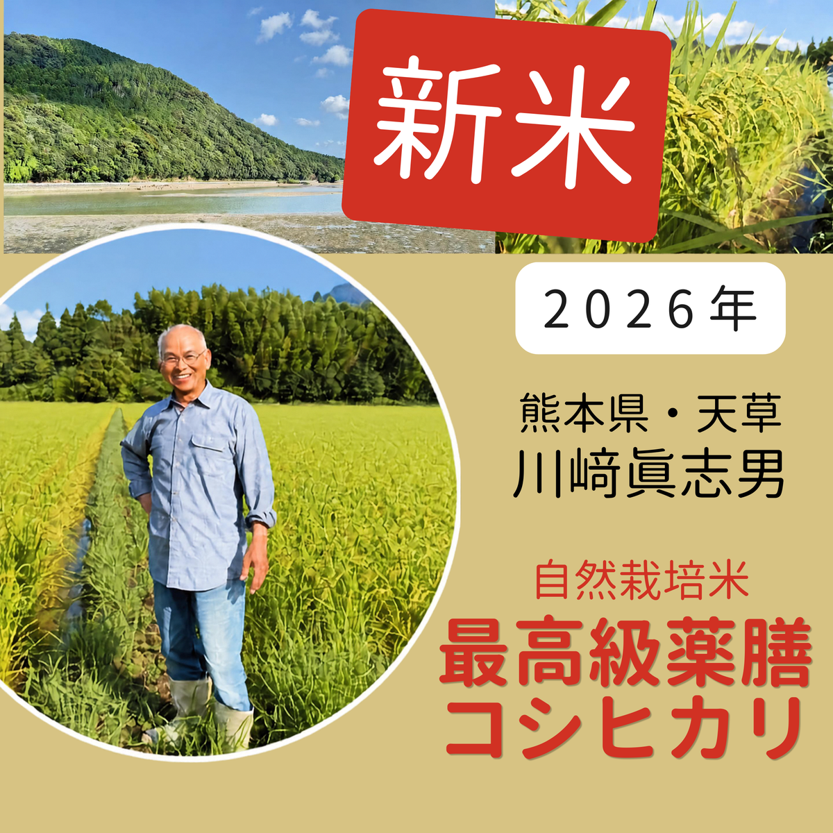 ◎【2026年米】自然栽培米最高級薬膳コシヒカリ（川﨑眞志男さん）