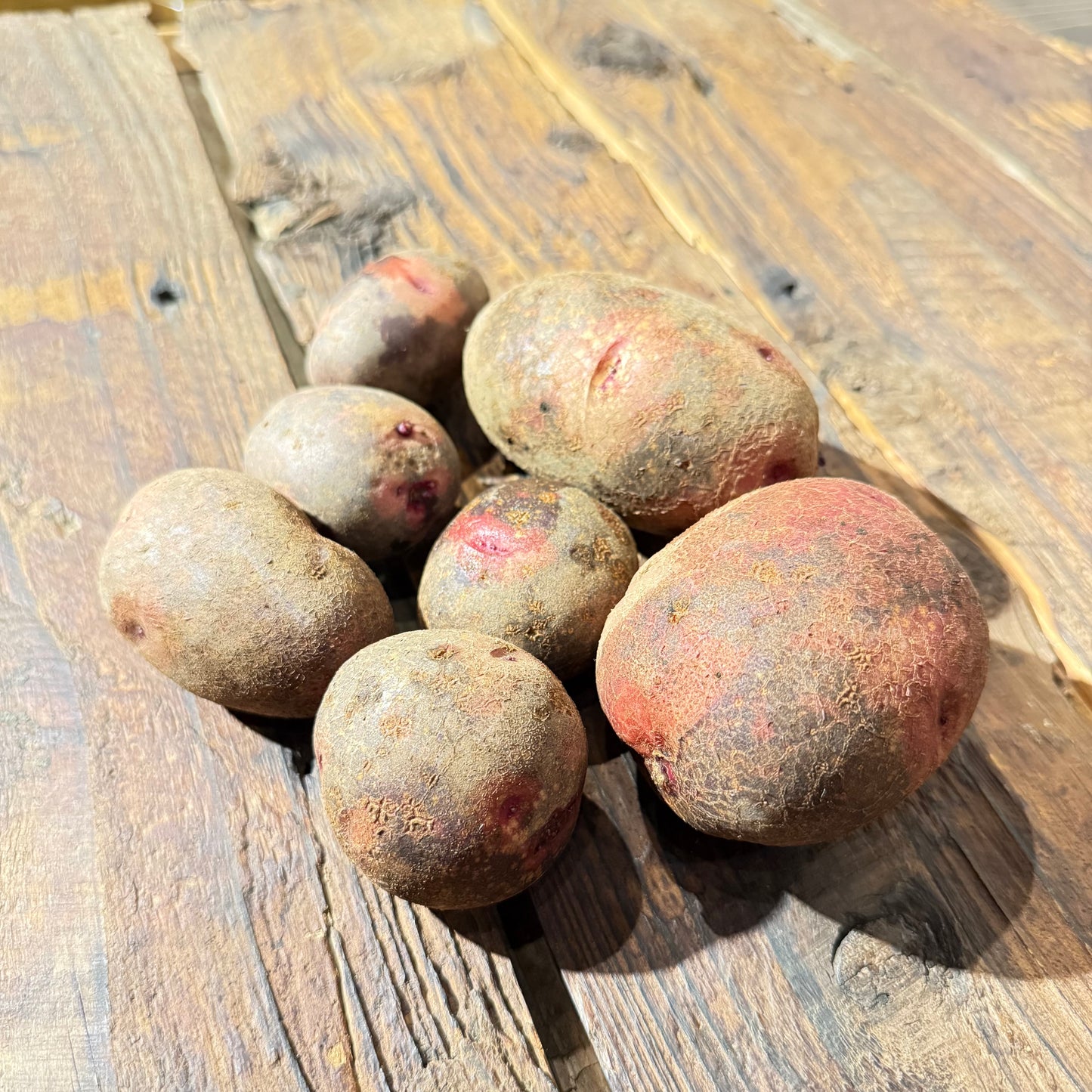 [Final arrival!] Naturally grown red potatoes (Ainoaka) (Ueno-san)