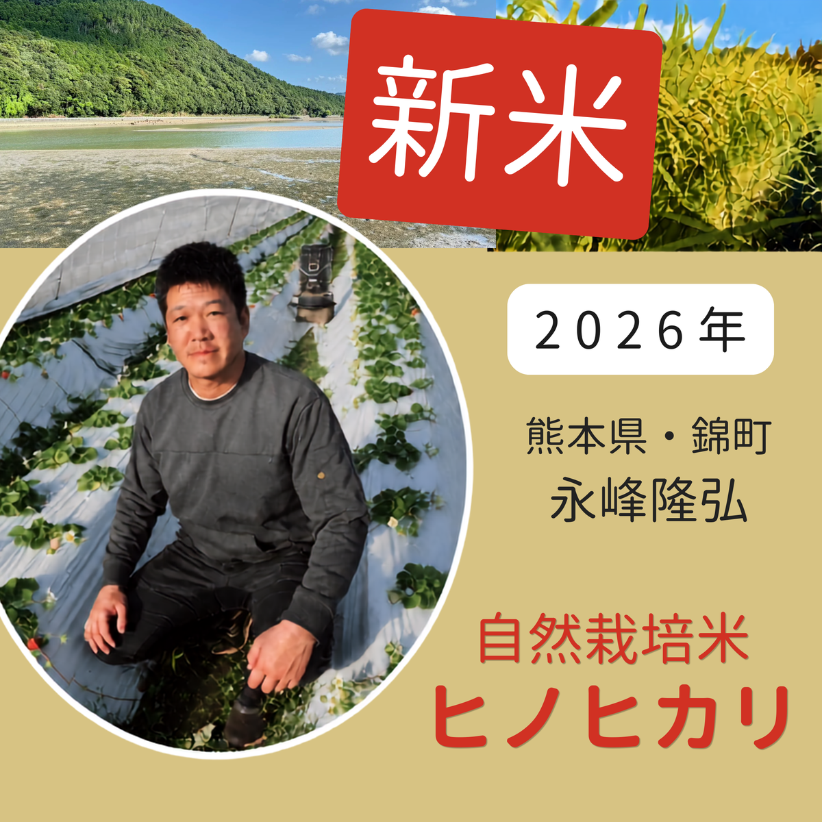 ◎【2026年米】自然栽培米 ヒノヒカリ (永峰隆弘さん)