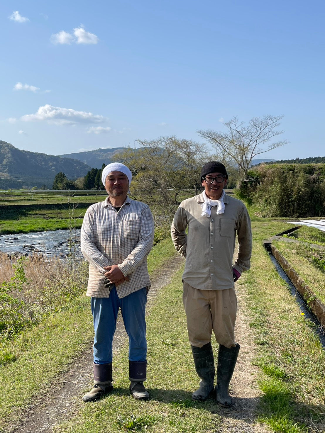 大森博さんの自然栽培米 イセヒカリの田んぼを訪ねるピュアリィの産地交流