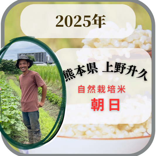 Naturally grown Minaminishiki rice by Kazukazu Kawachi 