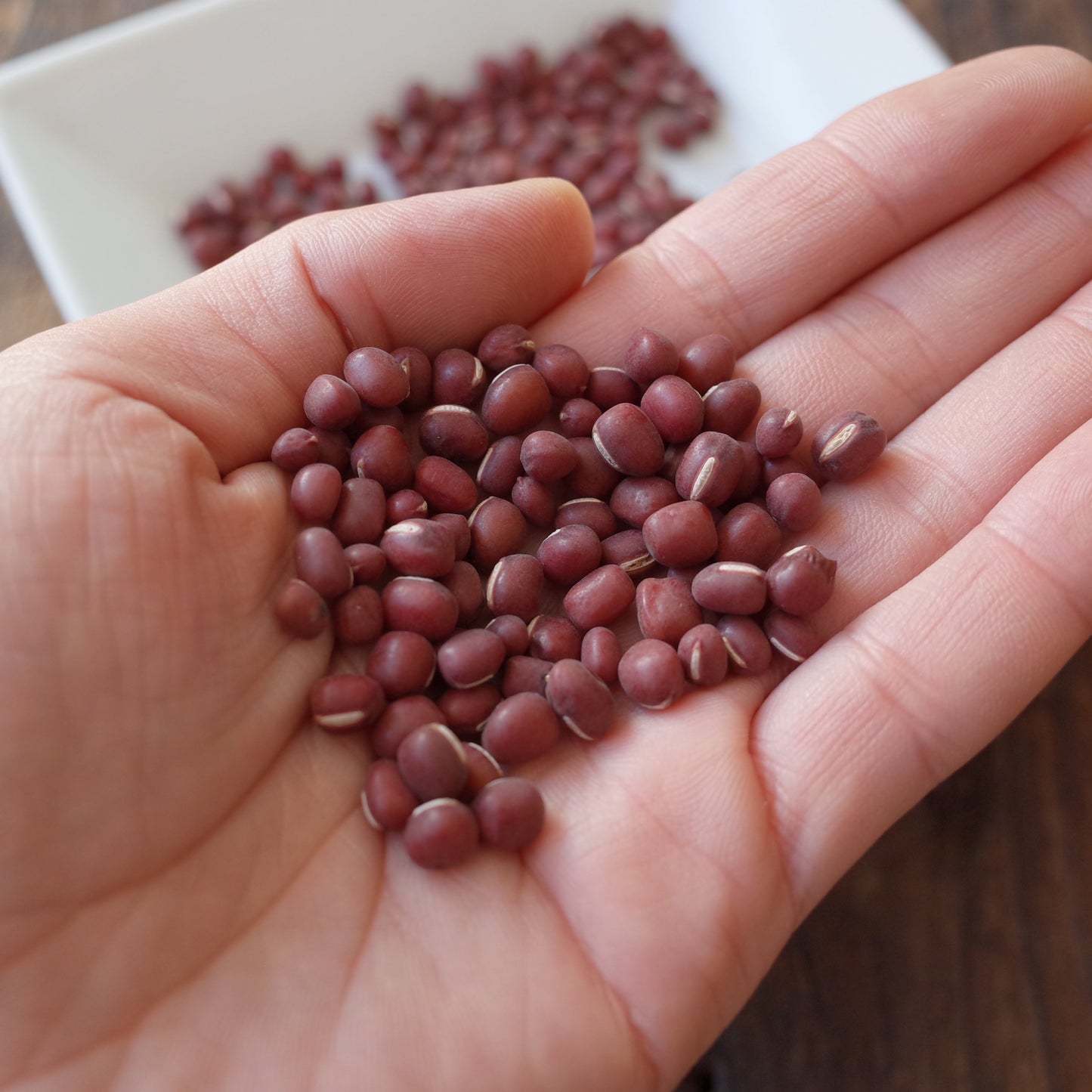 Naturally grown Dainagon adzuki beans 
