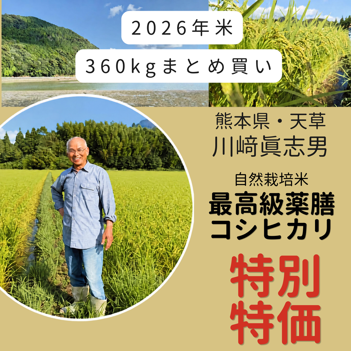[2023 New Rice Harvest - Up to 60,000 yen off!!!] Ueno Matsutoshi's Naturally Grown Rice "Hinohikari" Brown Rice 360kg