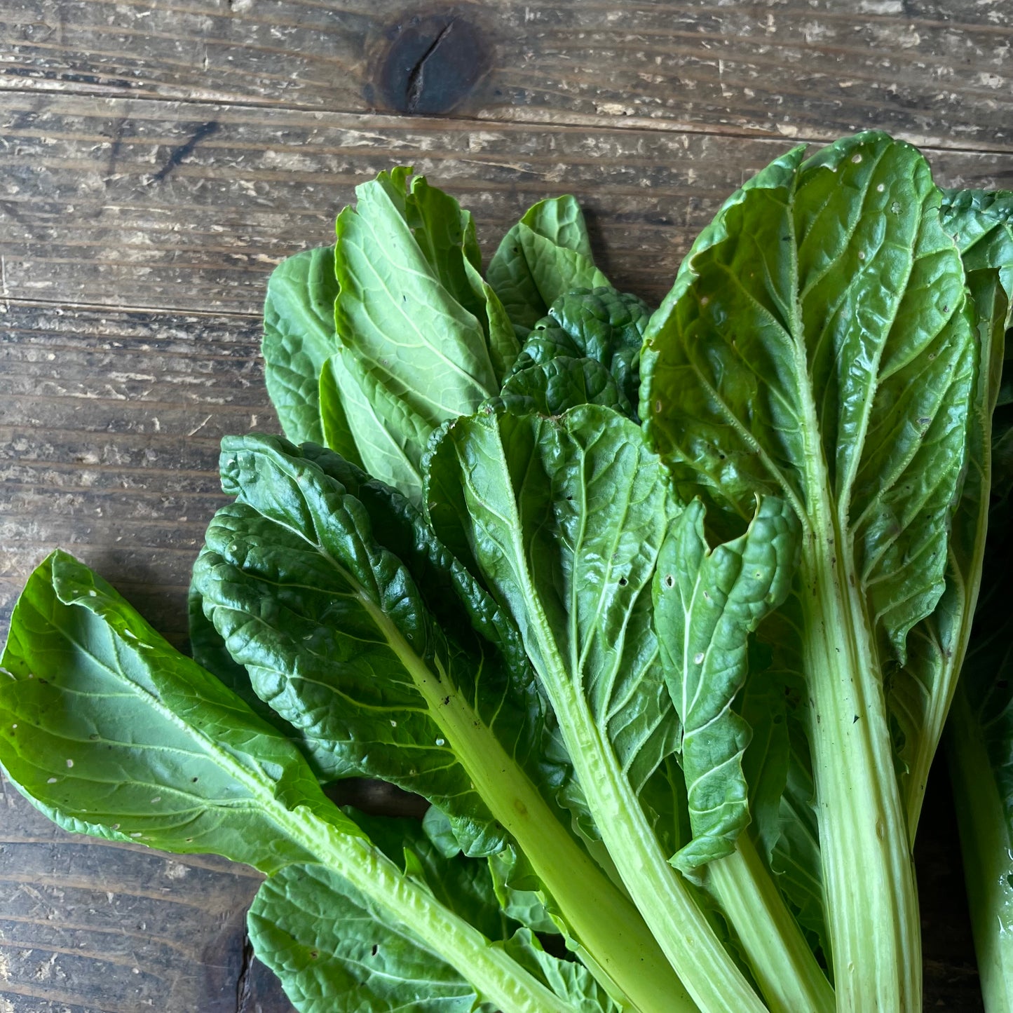 自然栽培べんり菜（上野さん）