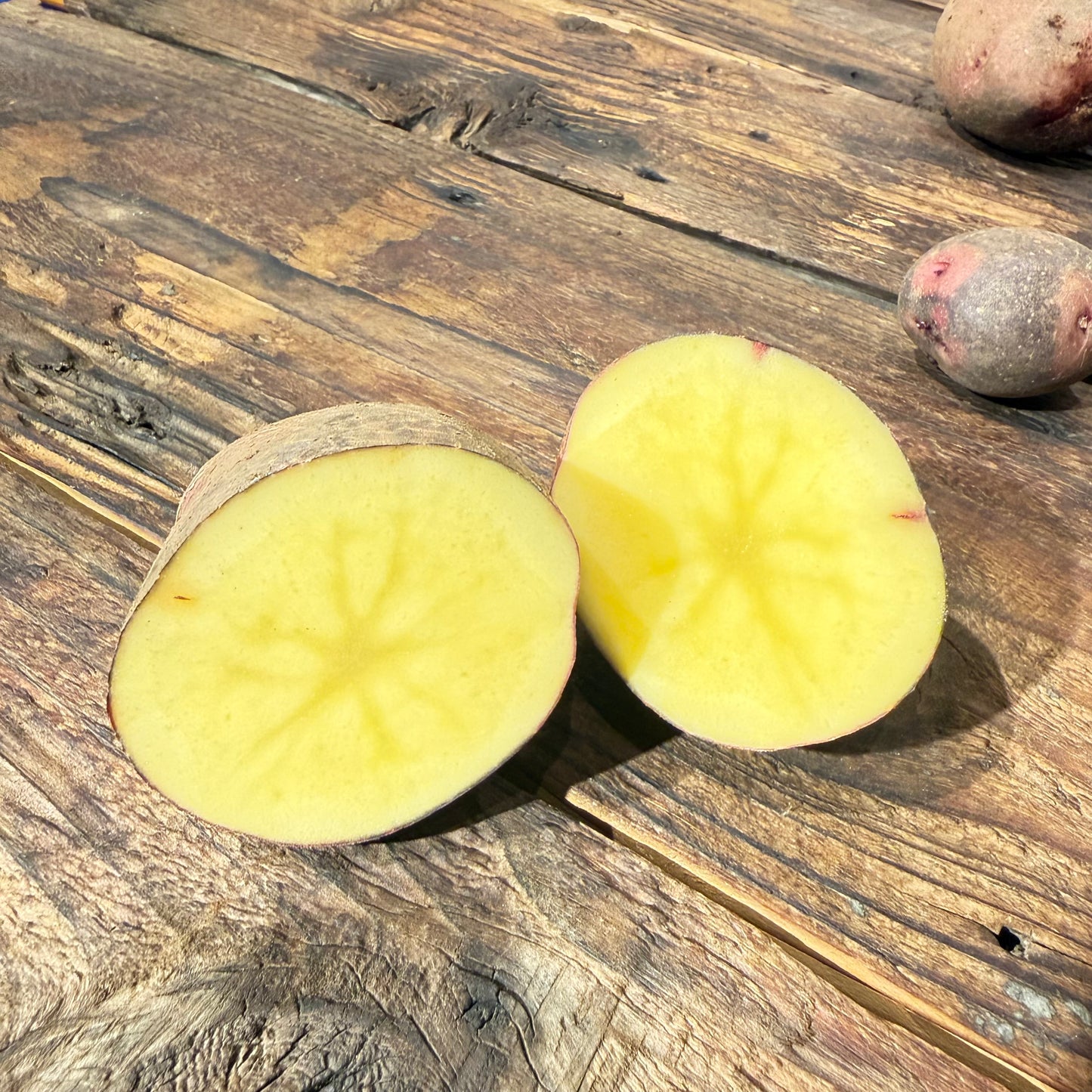 [Final arrival!] Naturally grown red potatoes (Ainoaka) (Ueno-san)