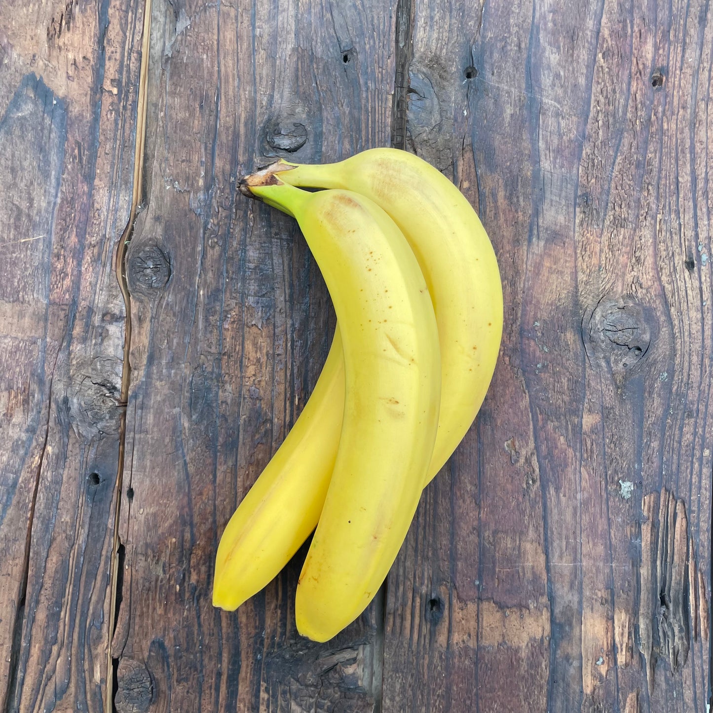【数量限定】有機栽培バナナ