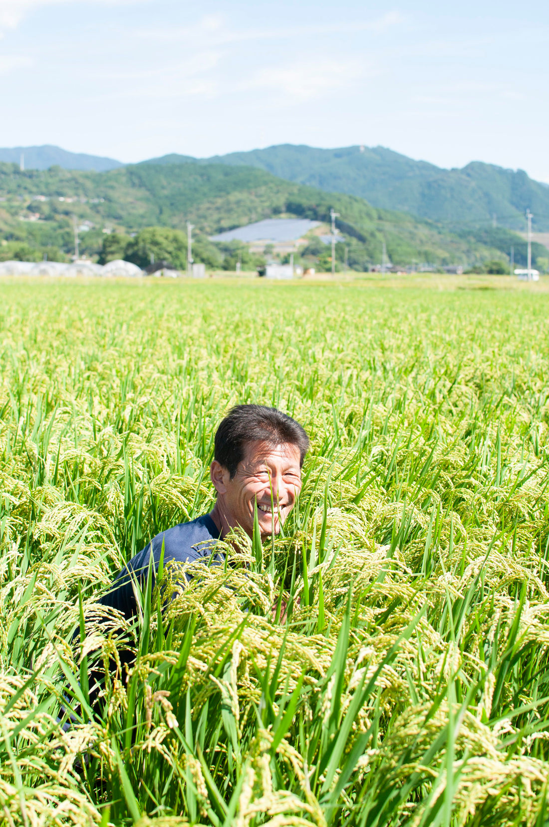 松本一宏さんの田んぼ