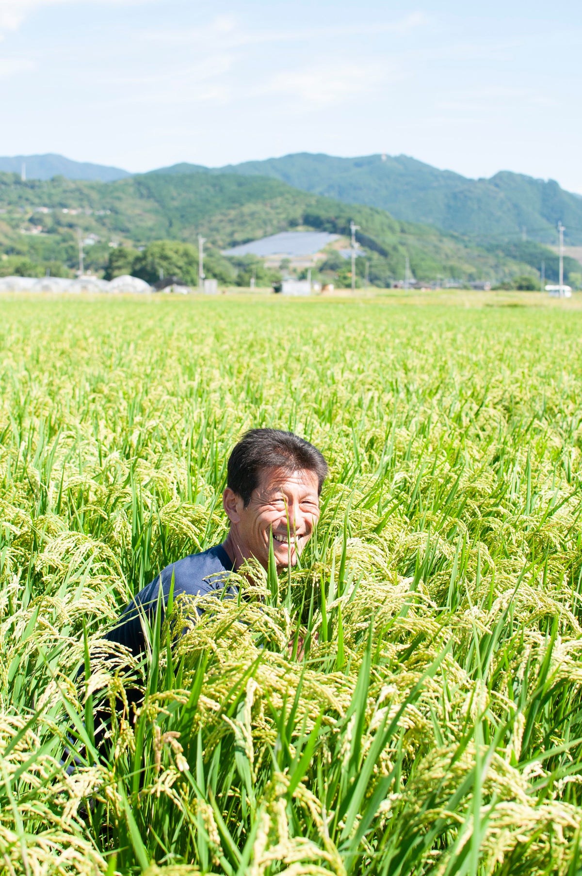 自然栽培米 イセヒカリを育てる松本一宏さん｜福岡県朝倉市