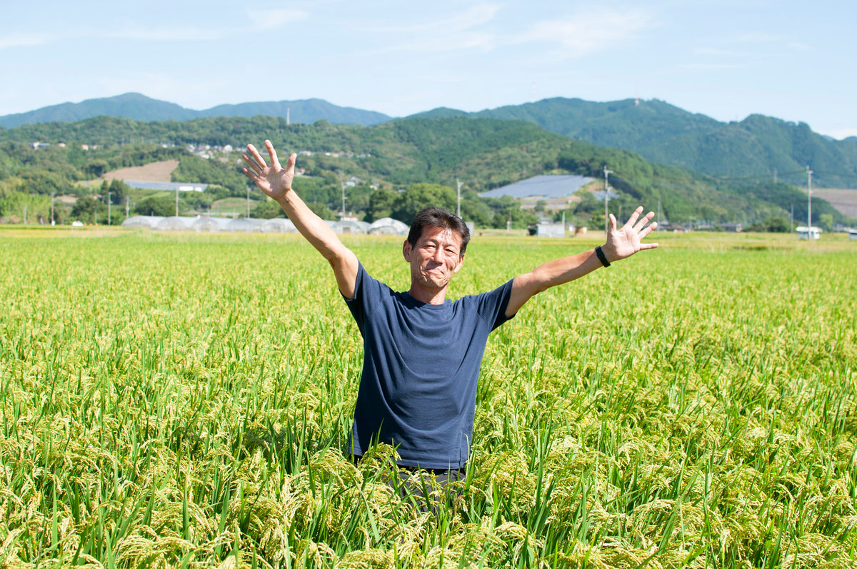 農家さんが愛情込めて作るお米