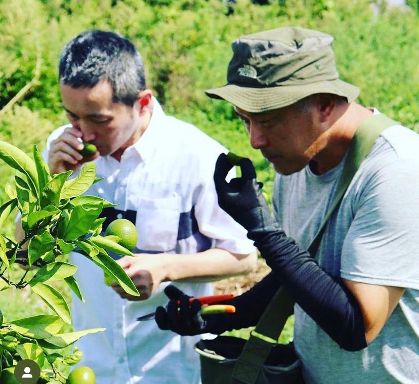 【数量限定商品】自然栽培　グリーンシトラス3種詰め合わせ