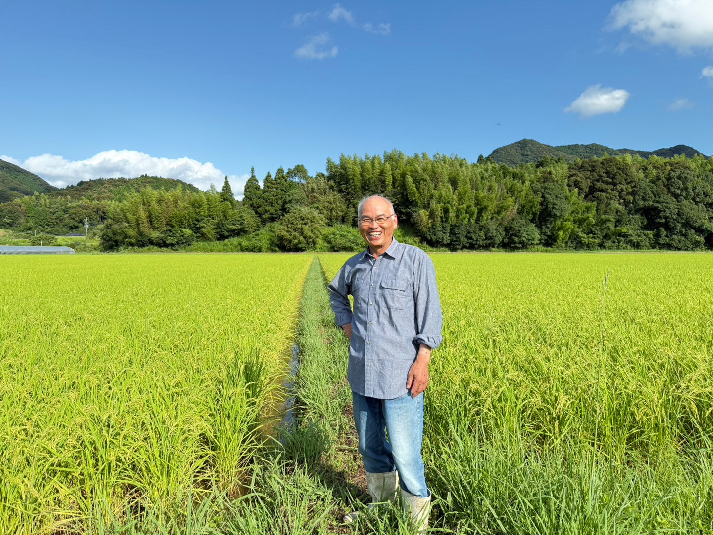 ◎【2025年米】川﨑眞志男さん　自然栽培米最高級薬膳コシヒカリ（通常販売用）