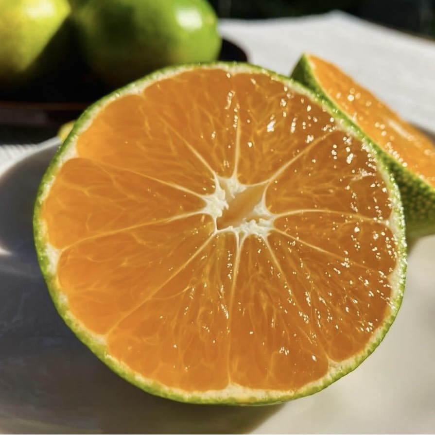 Naturally grown early-ripening mandarin oranges (Mune-san)