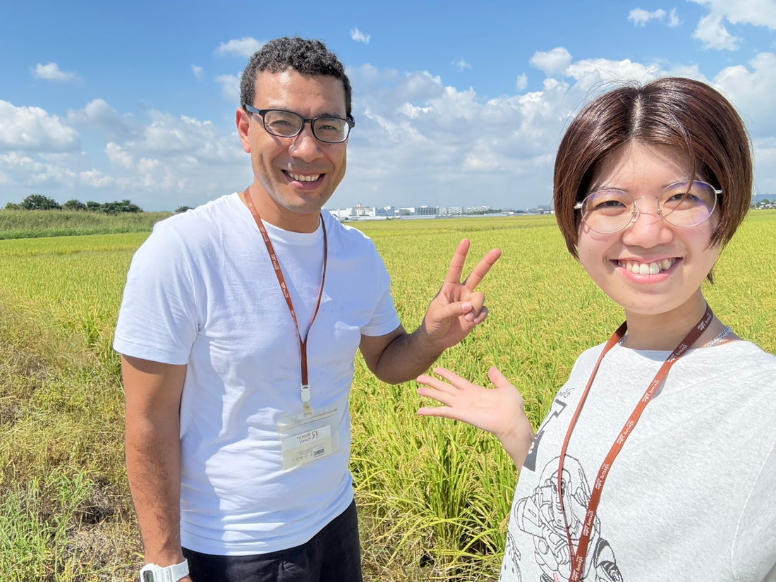 上野さんの想いが伝わる田んぼです