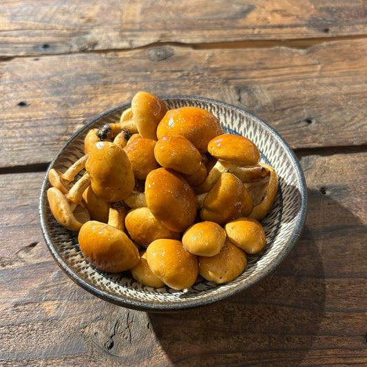 Raw shiitake mushrooms grown on logs (Mr. Watanabe)