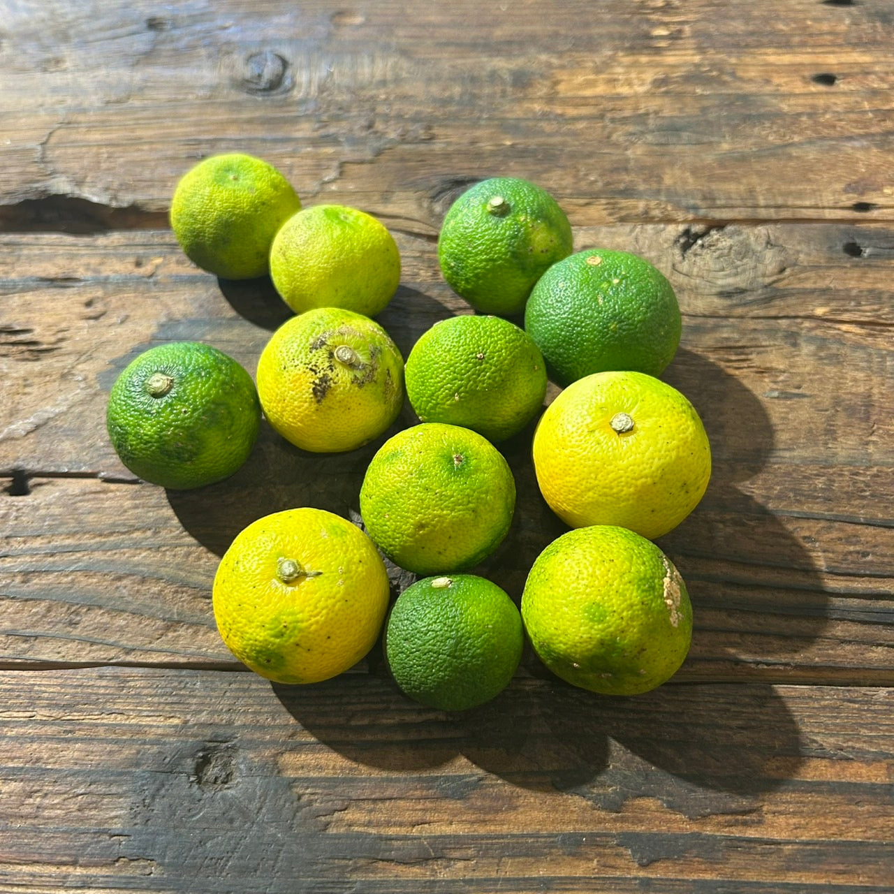 【数量限定】自然栽培　すだち（にしだ果樹園）