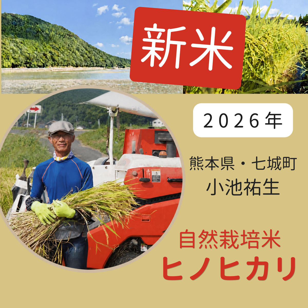 ◎【2026年米】自然栽培米ヒノヒカリ（小池祐生さん)