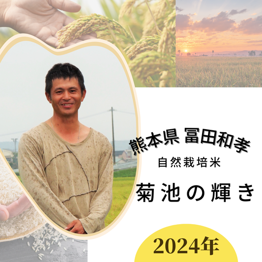 ★[2023 Rice] Naturally grown rice "Kikuchi no Kagayaki" by Tomita Chikayoshi