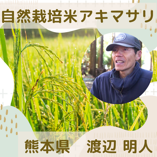 ★【新米】渡辺明人さん　自然栽培米アキマサリ