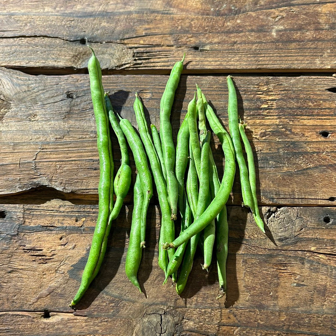 [Shipped 6/24] Naturally grown cucumbers