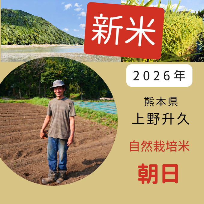 ◎【2026年米】自然栽培米 朝日 (上野升久さん)