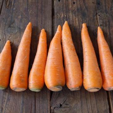 Naturally grown carrots (by Tomita) 