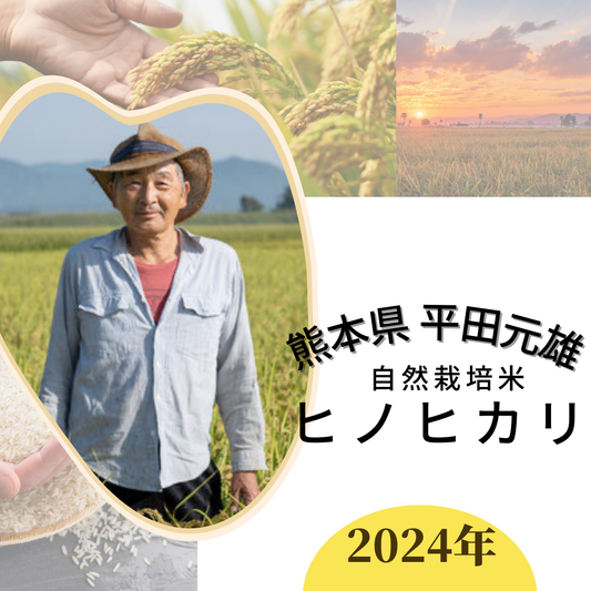 ★[2023 Rice] Hinohikari, naturally grown rice by Hirata Motoo