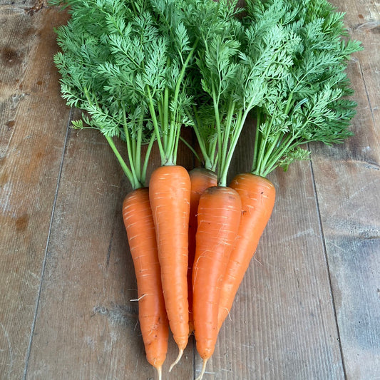 [End of season] Naturally grown carrots (Yamazaki-san) 1kg