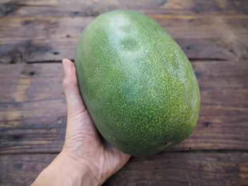 Organically grown winter melon (1 piece)