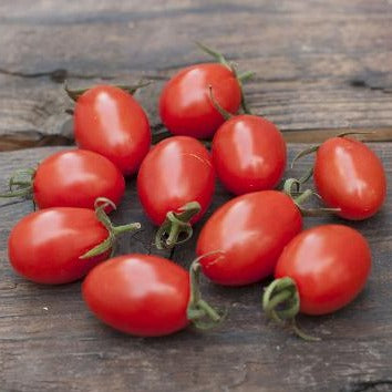 Organically grown Aiko Tomatoes 200g/1kg (Higo Ayumi Association) 