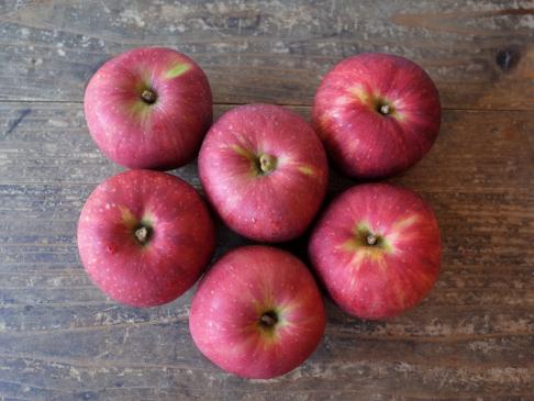 Sun Tsugaru Apples (6 pieces) Grown with Reduced Pesticides and No Chemical Fertilizers 