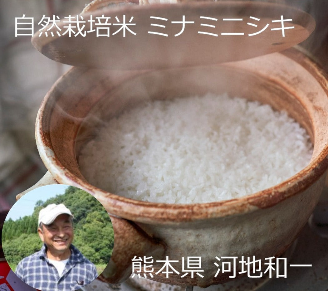 ★【2023年米】河地和一さん　自然栽培米ミナミニシキ