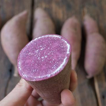 自然栽培ムラサキイモ（上野さん）