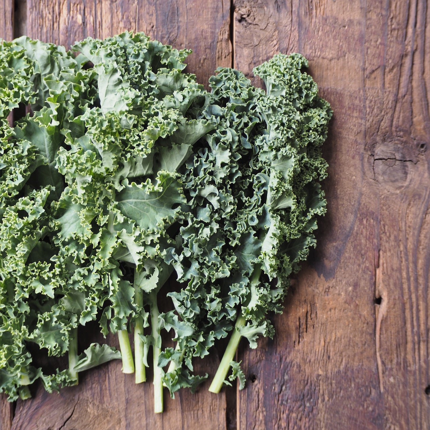 自然栽培ケール（上野さん）