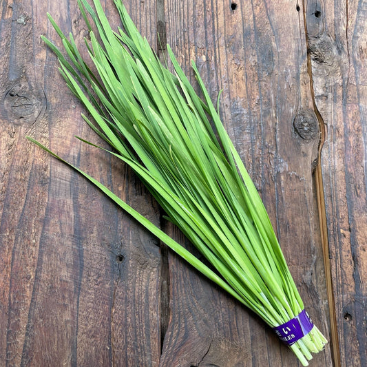 [Shipped 6/24] Naturally grown Chinese chives