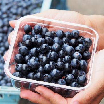 1kg of frozen blueberries grown without pesticides or fertilizers 