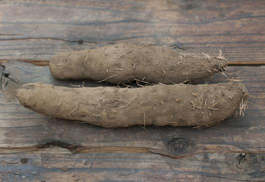 自然栽培山芋（上野さん）