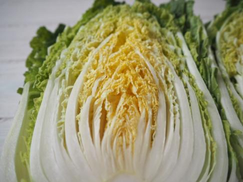 Naturally grown Chinese cabbage (by Fukumoto) 