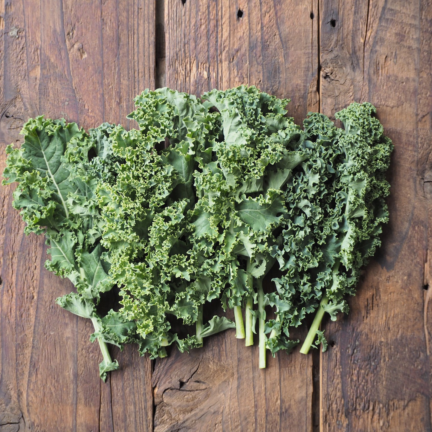 自然栽培ケール（上野さん）