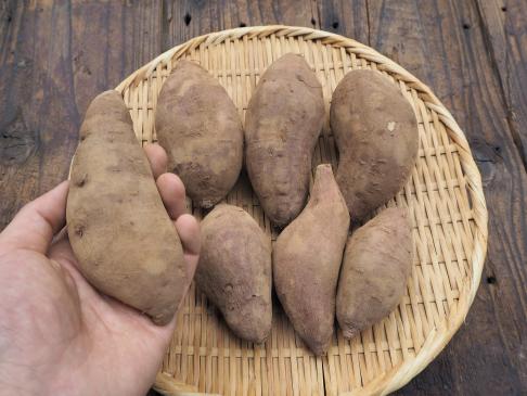 [No pesticides or chemical fertilizers used] Sweet potato 1kg 