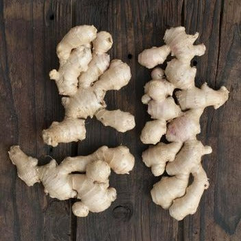 自然栽培生姜（川越さん）