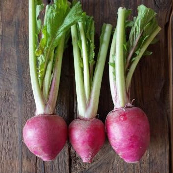 Naturally grown red turnip (by Fukumoto) 
