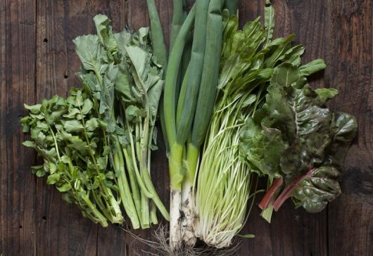 2026年 お楽しみ!旬の夏野菜・ドレッシングセット