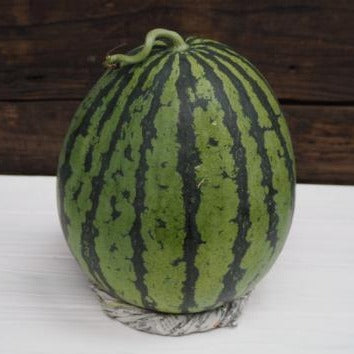[Limited quantity] Large watermelon grown without pesticides or chemical fertilizers 