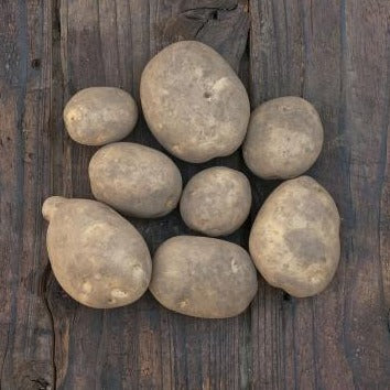 Naturally grown potatoes by Dejima (Mr. Matsumoto) 