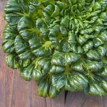 Naturally grown tatsoi