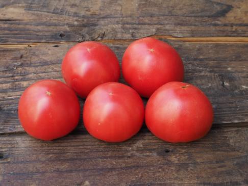 Organically grown tomatoes 500g (Higo Ayumi Association) 