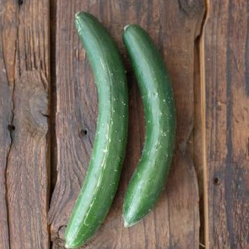 Organically grown cucumbers (Sato Organic Farm) 
